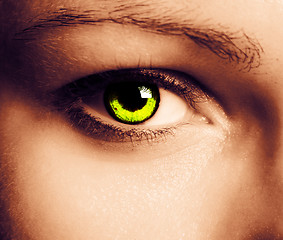 Image showing Beautiful eye 