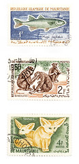 Image showing Animals on post stamps from Africa