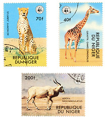 Image showing African postage stamps with animals