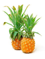 Image showing Ripe Pineapple Fruit