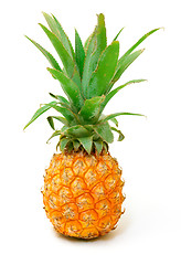 Image showing Ripe Pineapple Fruit