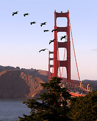 Image showing Golden Gate bridge