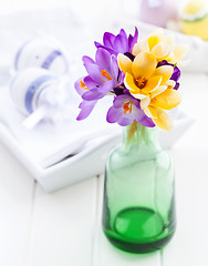 Image showing Crocuses on the table