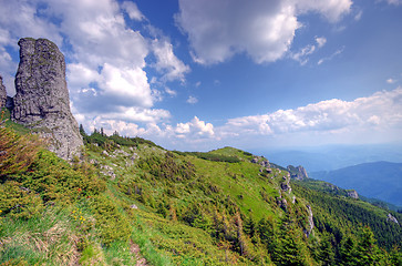 Image showing Summer landscape