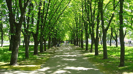Image showing People have a rest in park with greater trees