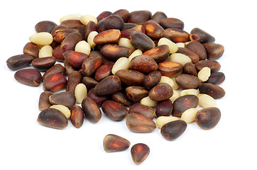 Image showing Cedar Nuts