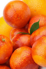 Image showing Blood Oranges