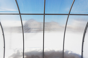 Image showing View from inside a greenhouse winter