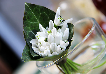 Image showing Snowdrops 