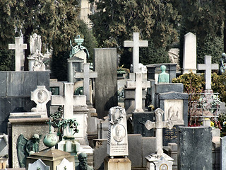 Image showing Cemetery decorative crosses and tombs