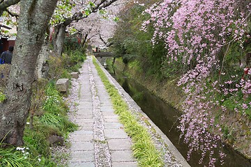 Image showing Kyoto