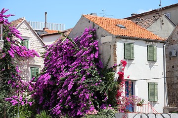 Image showing Croatia - Split