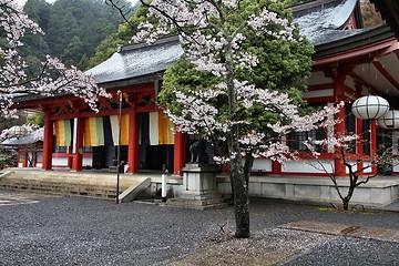 Image showing Rainy Japan