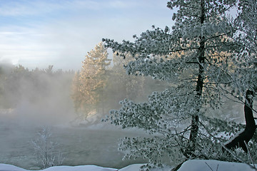 Image showing winter scenic