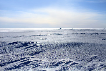 Image showing arctic