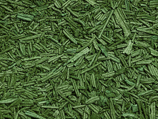 Image showing Spirulina background