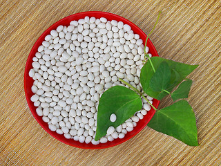 Image showing Beans and leaves in red plastic bowl 
