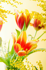 Image showing Spring bouquet with a mimosa and tulips