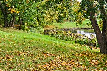 Image showing Autumn landscape at a pond