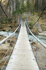 Image showing Cable suspension Bridge over Belokurikha river.