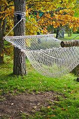 Image showing A hammock near the pond in autumn Park 