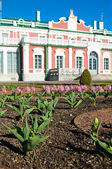 Image showing Gardens of Kadriorg Palace  in Tallinn, Estonia 