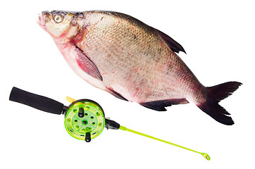 Image showing  bream and Rod is isolated on a white background 