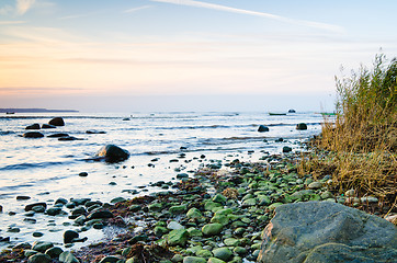 Image showing Coast of the Baltic Sea at sunset