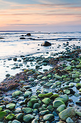 Image showing Coast of the Baltic Sea at sunset