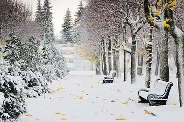 Image showing Alley in the Park later in the autumn. Snow storm 