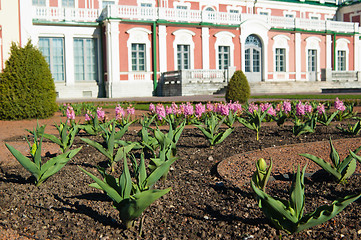 Image showing Gardens of Kadriorg Palace  in Tallinn, Estonia 