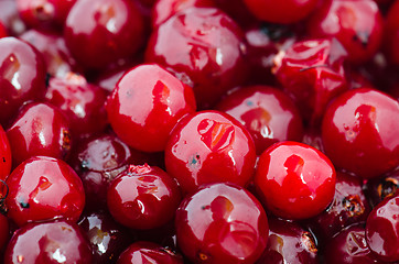 Image showing The defrozen cranberry, close up