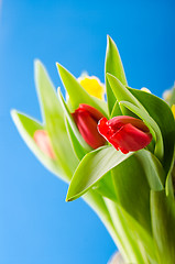 Image showing Spring bouquet with tulips