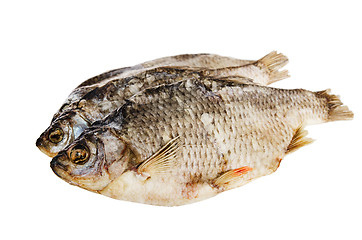 Image showing dried fish is isolated on white 