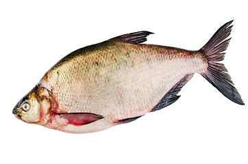 Image showing Bream is isolated on a white background 