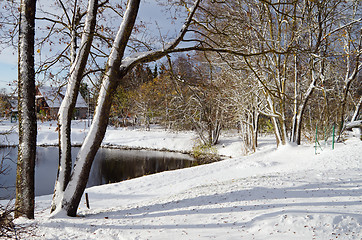 Image showing landscape near the pond with the autumn trees under snow