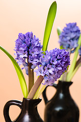 Image showing Bouquet with blossoming to hyacinths in a vase