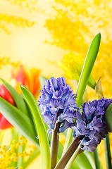 Image showing Bouquet with spring flowers and a mimosa