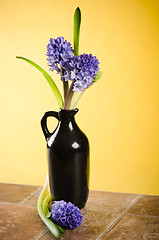 Image showing Bouquet with blossoming to hyacinths