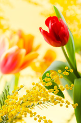 Image showing Spring bouquet with a mimosa and tulips