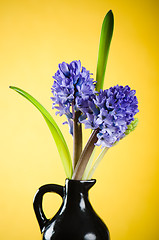 Image showing Bouquet with blossoming to hyacinths