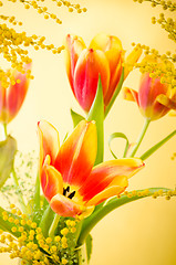 Image showing Spring bouquet with a mimosa and tulips