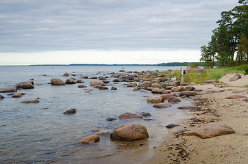 Image showing The woman with a dog walks along coast of Baltic sea