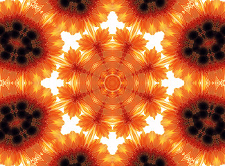 Image showing Gerber flower abstract pattern