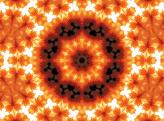 Image showing Gerber flower abstract pattern