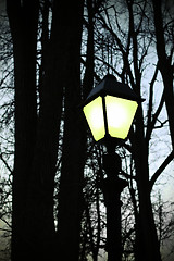 Image showing Street light and silhouettes of trees