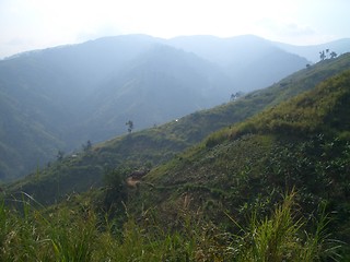 Image showing Green hill Uganda