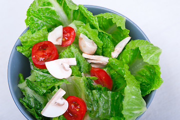 Image showing fresh mixed salad 