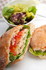 Image showing ciabatta panini sandwich with chicken and tomato