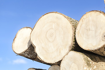 Image showing Large logs stacked on a blue sky background